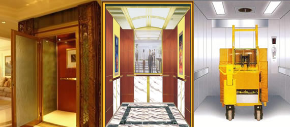 ���ŵ��ݹ�˾