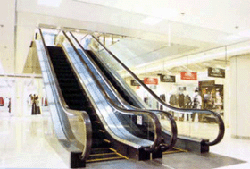 �Զ�����