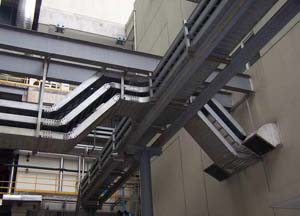 �����ż�