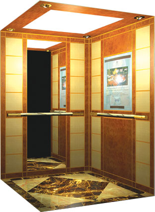 ���ű�������